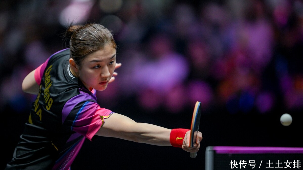 哥哥张本智 哥哥张本智